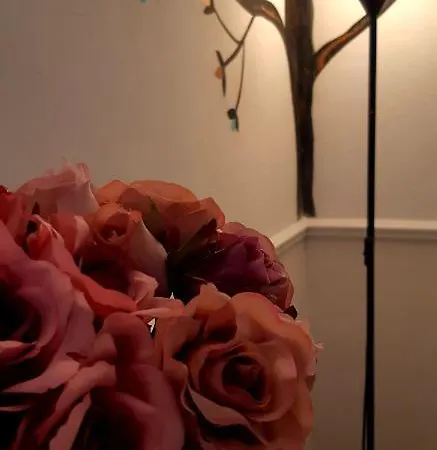 阿尔68迪卡沃尔广场酒店 住宿加早餐酒店