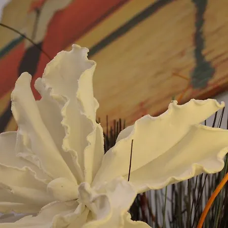 阿尔68迪卡沃尔广场酒店 3* 那不勒斯